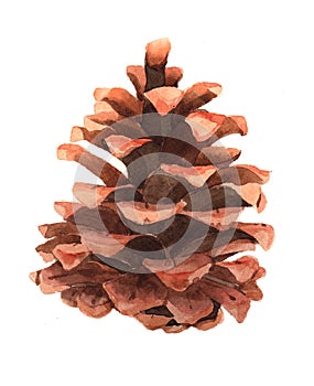 ÃÂ¡one isolated on a white background